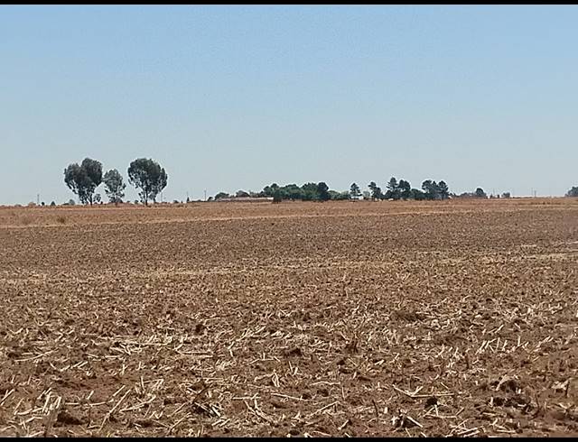 20.20HA VACANT LAND FOR SALE IN CHRISSIEFONTEIN